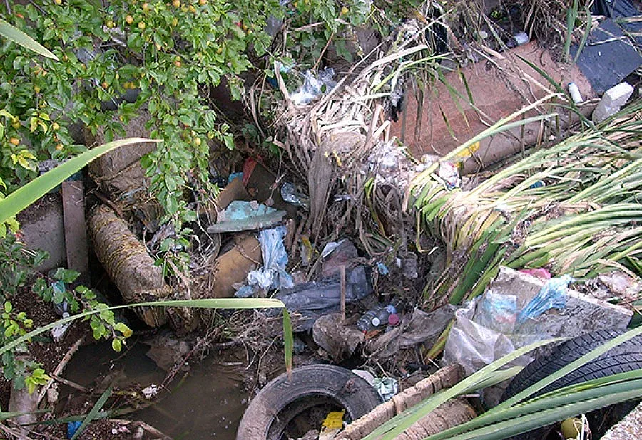 Чистят улици и тротоари от дърва и тор