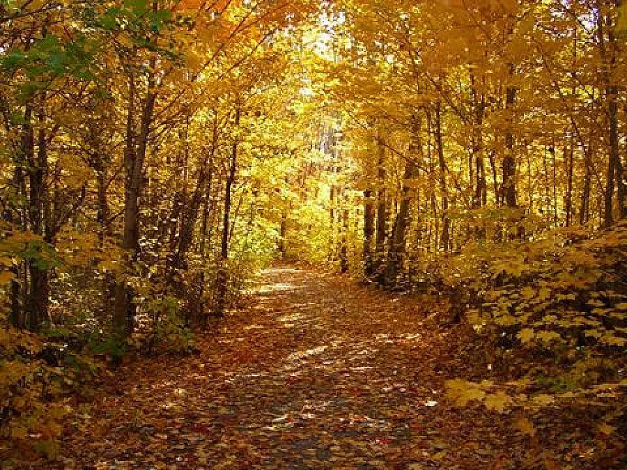 Сиромашко лято до утре