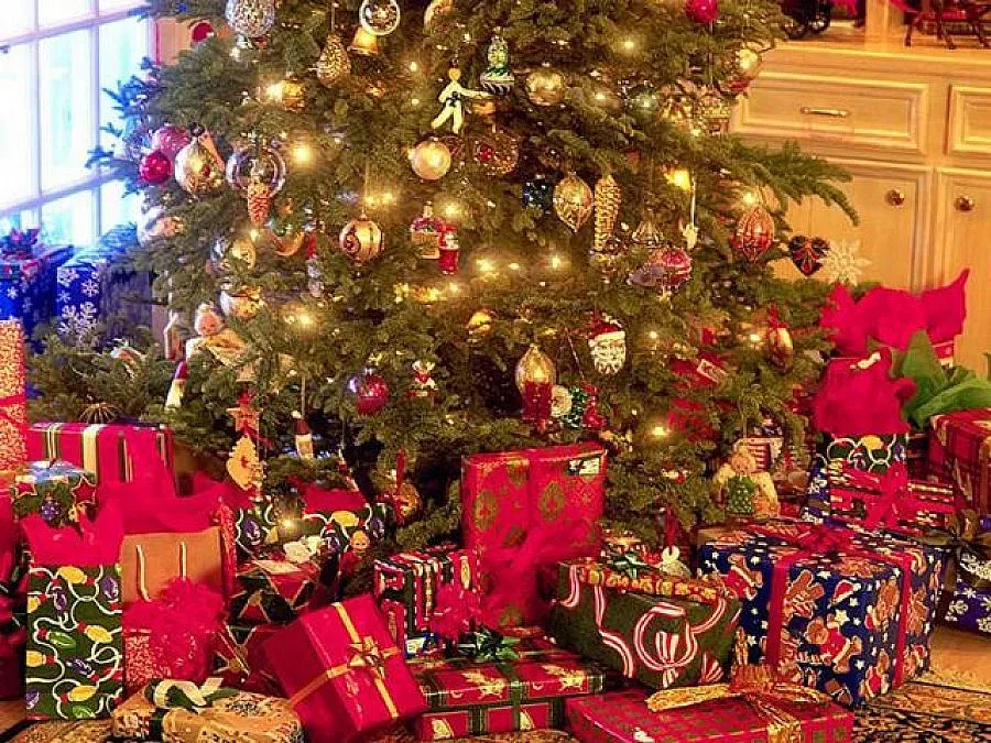 Гурбетчии в САЩ с акция „Нова година” за родното село