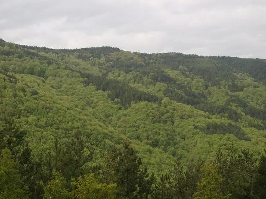 Пазят с полиция горите край Разлог