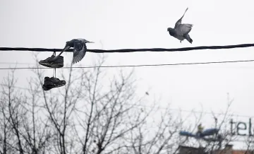 Седмицата започна с -5 градуса