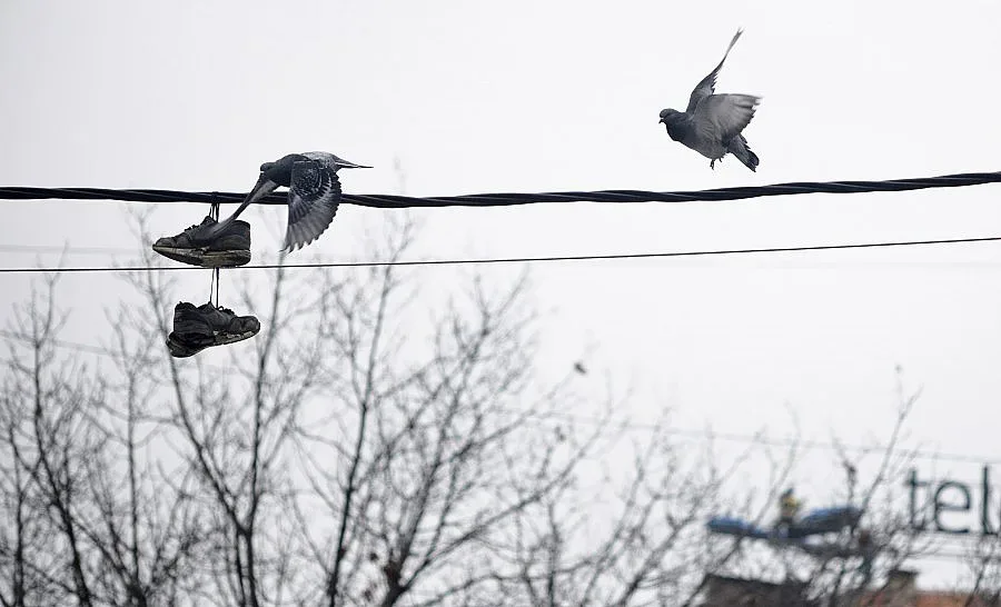 Седмицата започна с -5 градуса
