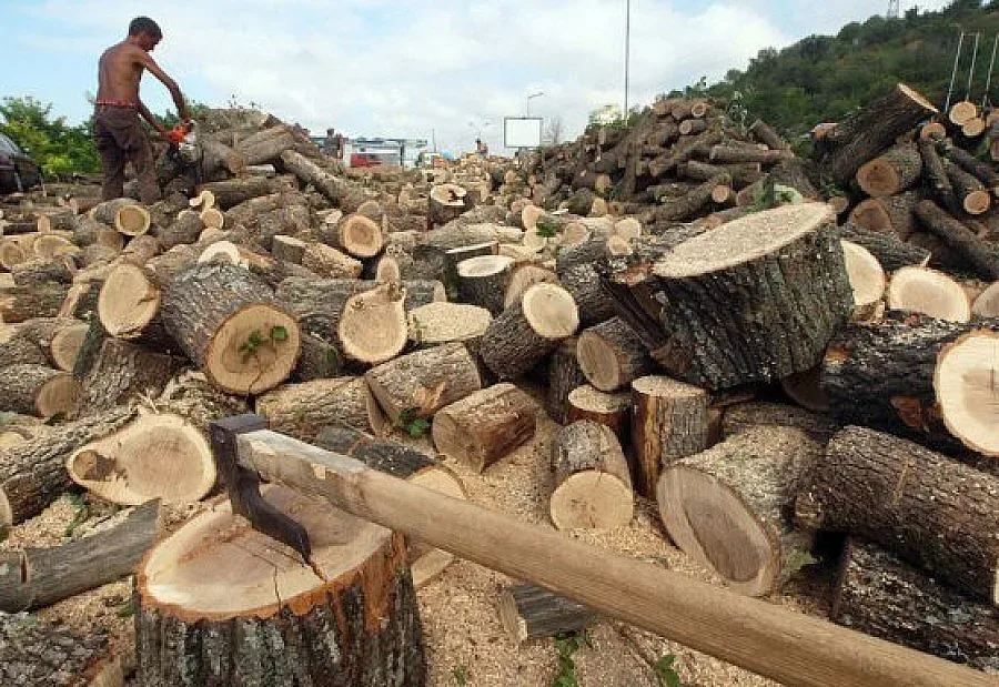 Дървата и въглищата скочиха преди зимата