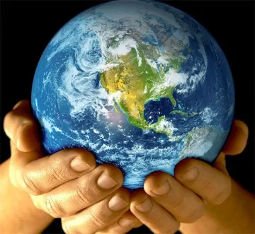 Иглолистни дълголетници виреят само в Щатите