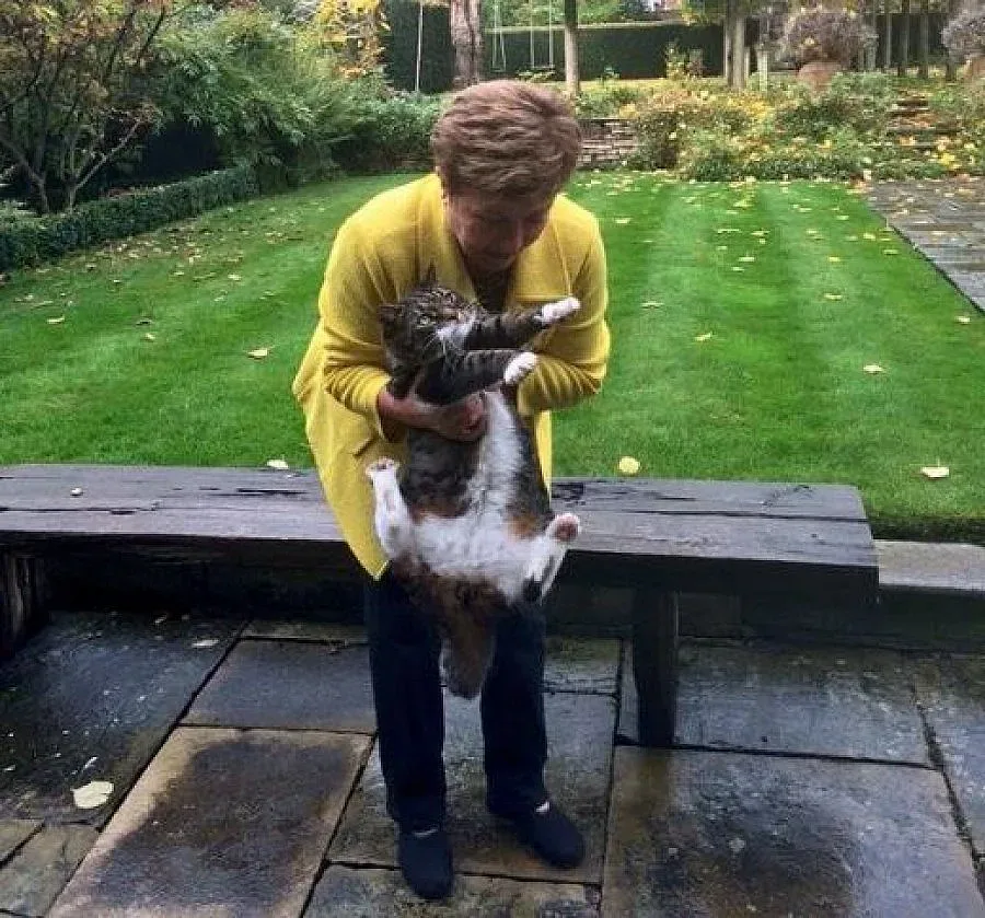 Лондонски котарак мърка в скута на Кристалина