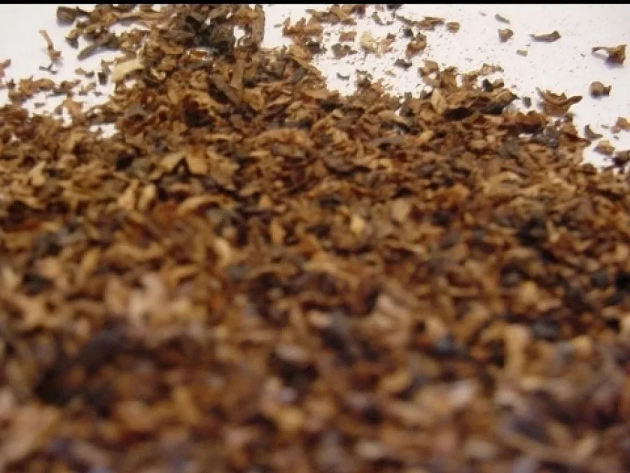 Тютюнджии с ултиматум за старта на изкупната кампания