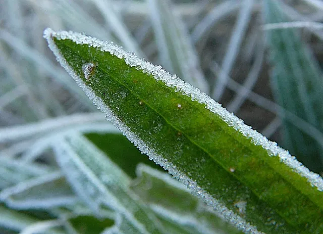 След валежите: Опасност в тази част на страната