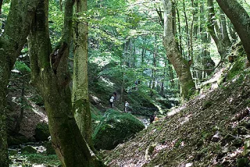 Бракониер би горски стражар и заплаши семейството му