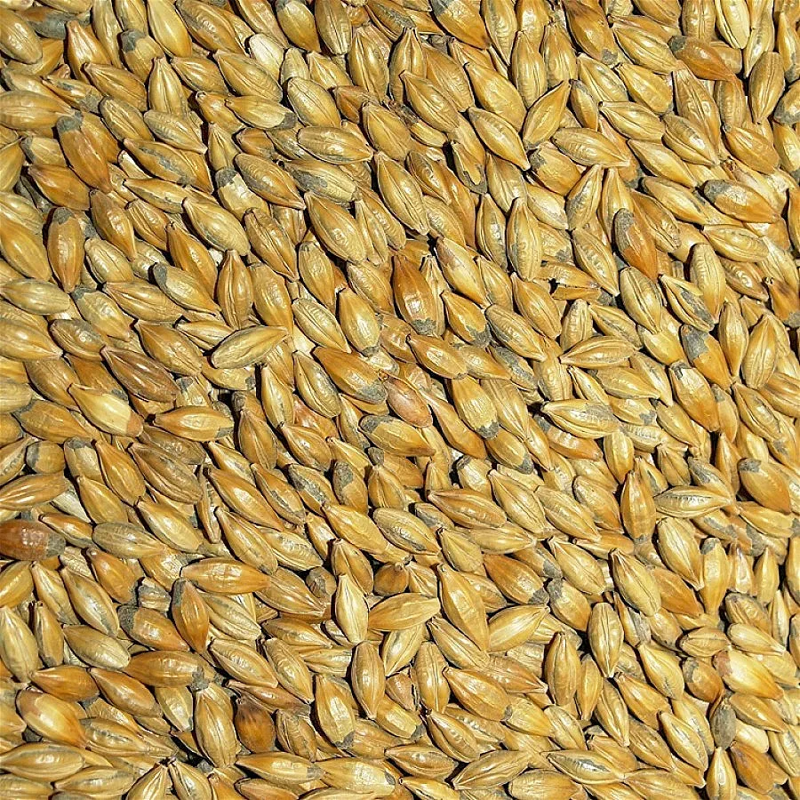 2,1 млн. т зърно изнесохме през порт Варна