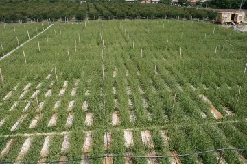 Удължават срока за инвестиции във ферми