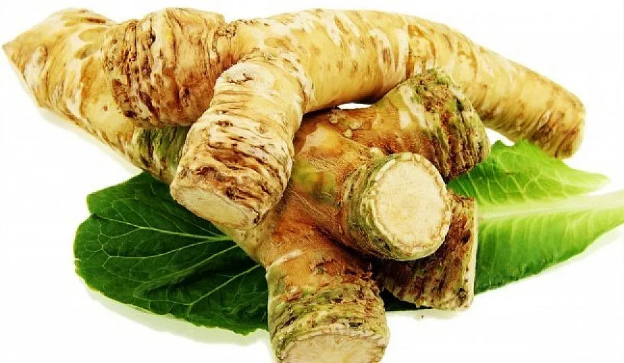 Най- горчивите храни в света