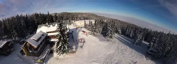 Снегът покри гъбите 