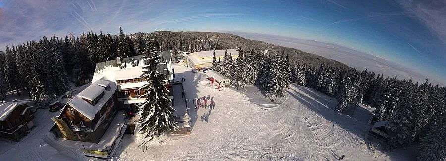 Снегът покри гъбите 