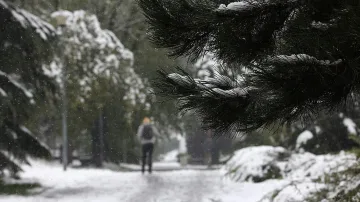 Напрежение в Сърбия. Обявиха червен код