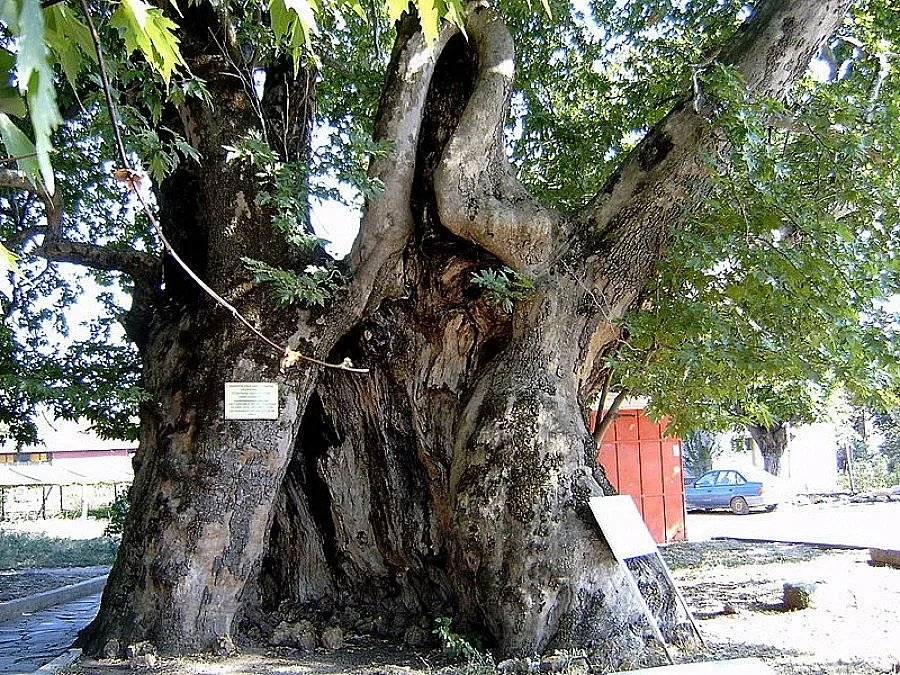 Младежи с шанс за работа в община Гърмен