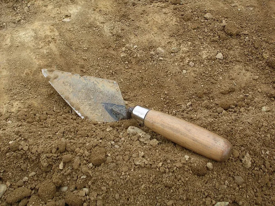 Проф. Нешева предаде свети мощи на митрополит