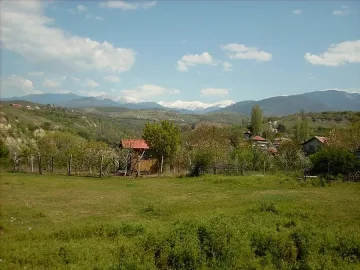 Циганин гърмя с пищов по комшия