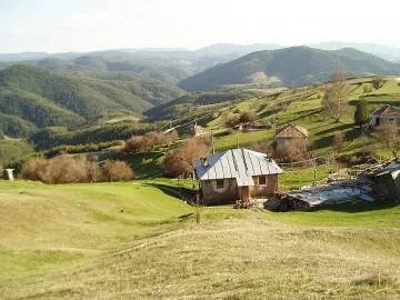 Пуснаха жалба срещу кандидат-кметица за натиск върху избиратели 
