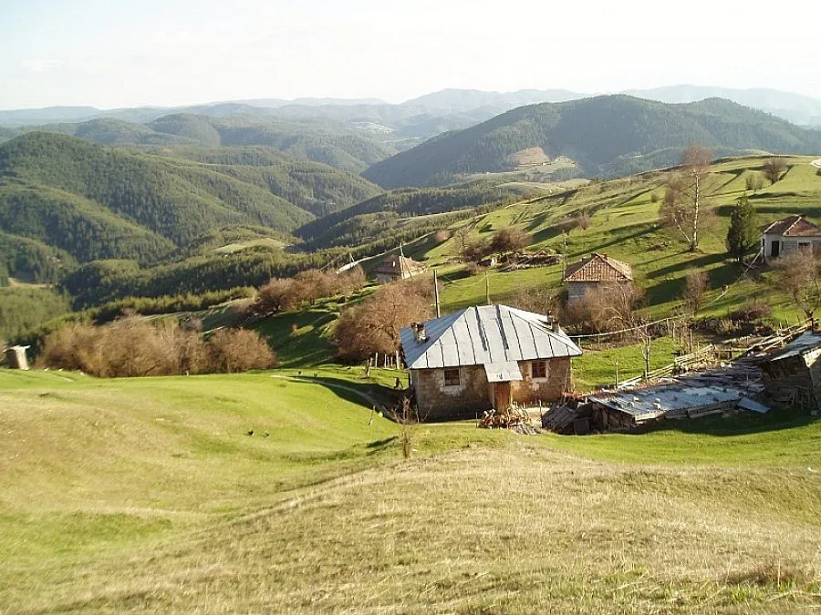 Пуснаха жалба срещу кандидат-кметица за натиск върху избиратели