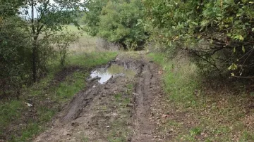 Афганистанците от Средец нямали клипове с насилие (ОБЗОР)