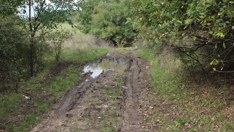 Афганистанците от Средец нямали клипове с насилие (ОБЗОР)