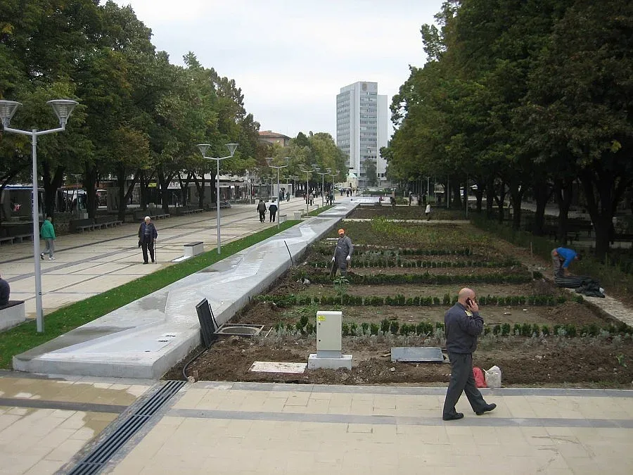  Перник живее като във виц