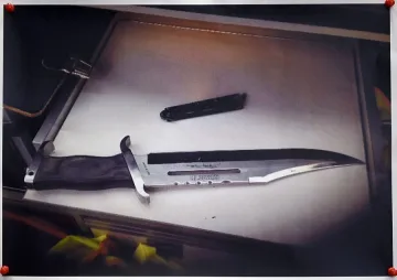 Раниха с нож кандидат за кмет на Кьолн