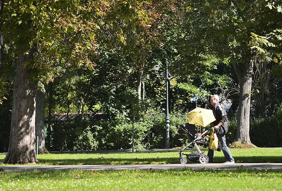 Край на валежите