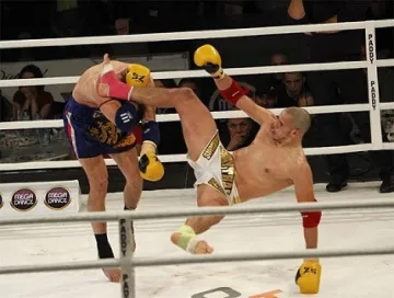 8 мача в гала вечер по кикбокс и муай тай 