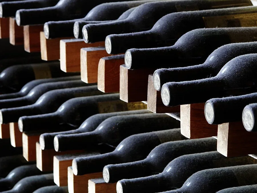 Винената партия кани делегати от три континента на конгрес