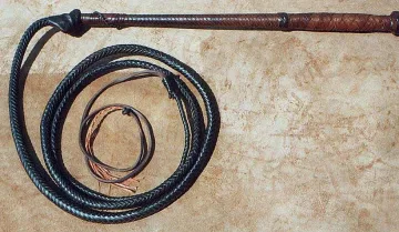 360 удара с камшик за британец с домашно вино в Саудитска Арабия 