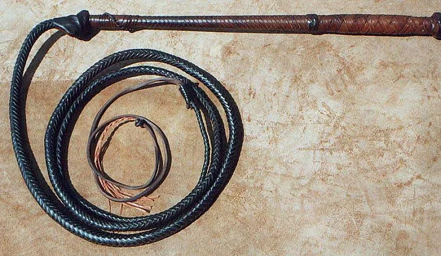 360 удара с камшик за британец с домашно вино в Саудитска Арабия