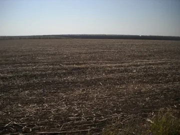 Рекордно скочи цената на земята