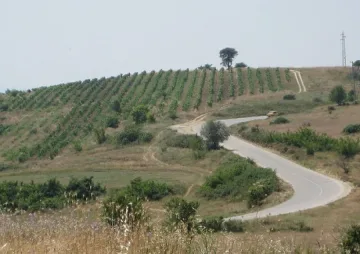 Милионер в Катунци