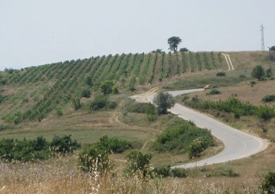 Милионер в Катунци