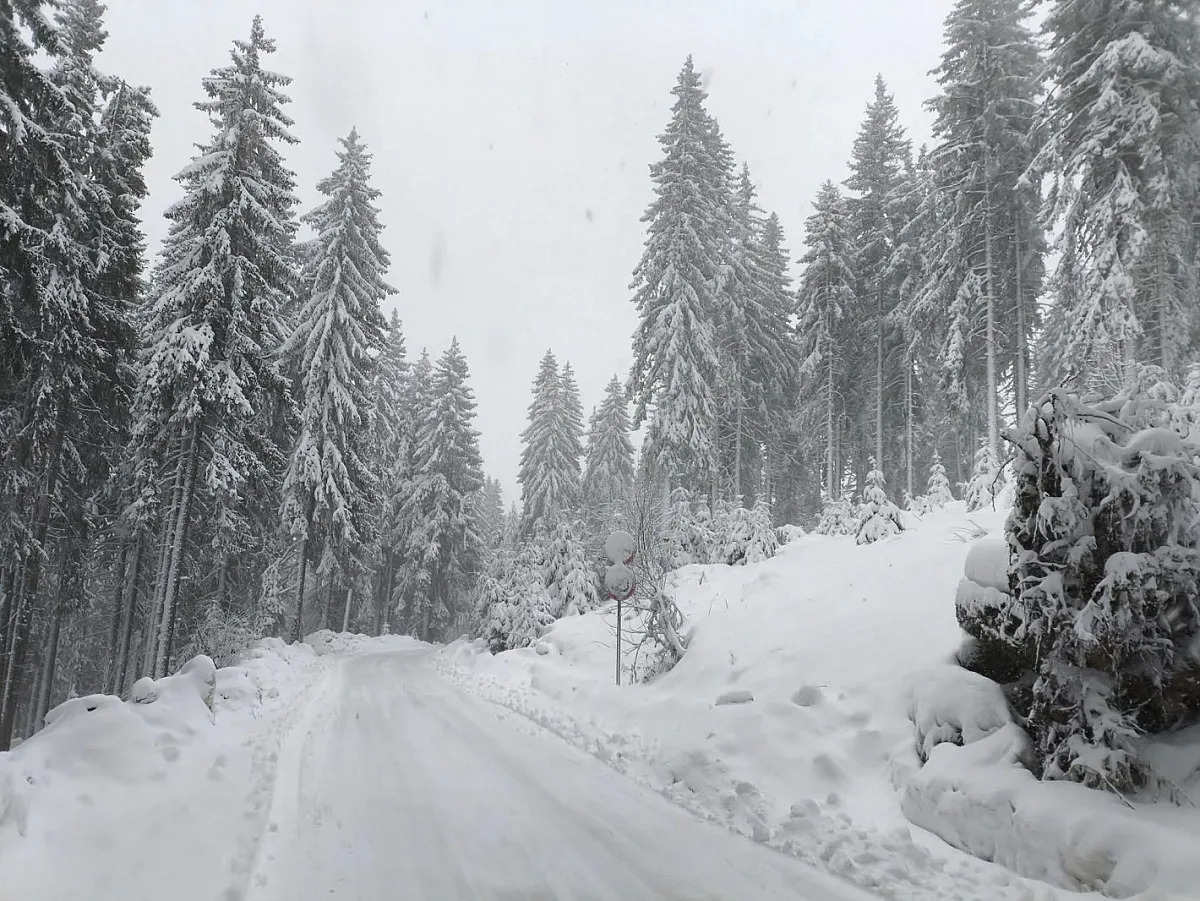 Автобус и тир направиха миш-маш на пътя за Пампорово