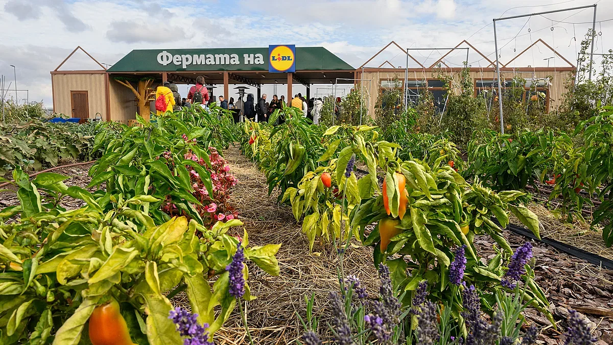 Фермата на Lidl става образователна градина до логистичен център