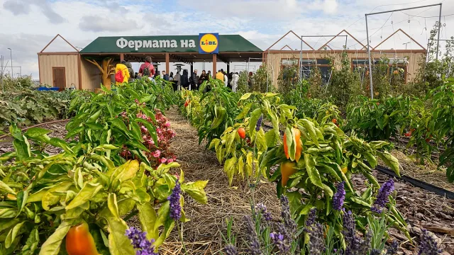 Фермата на Lidl става образователна градина до логистичен център