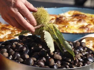 Италианци черпят с кестени в с. Брежани