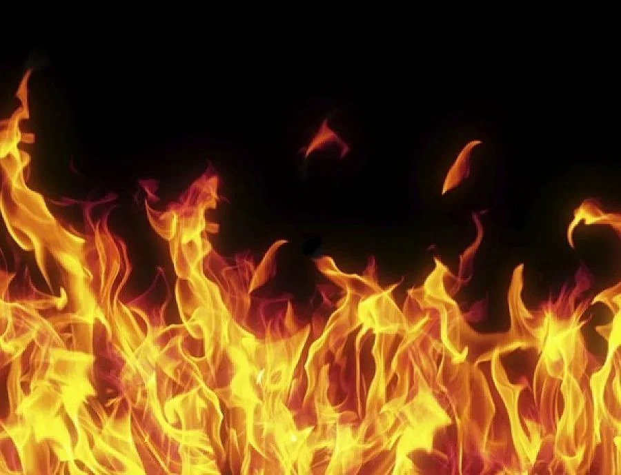 8-годишен причини горския пожар в Кърджалийско 