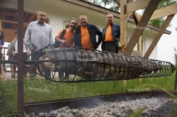 Хванаха чудовищен сом във Видин