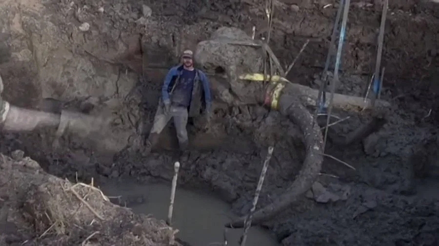 Американски фермери намериха мамут (ВИДЕО)