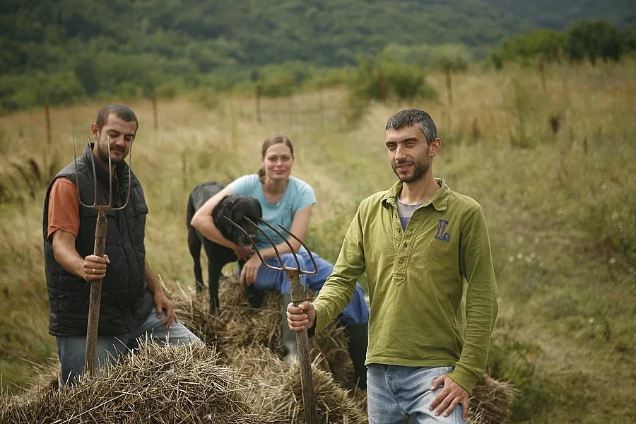 Как юпита станаха фермери в Родопите