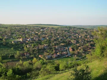 Англичанче се застреля в гърдите с газов пистолет 