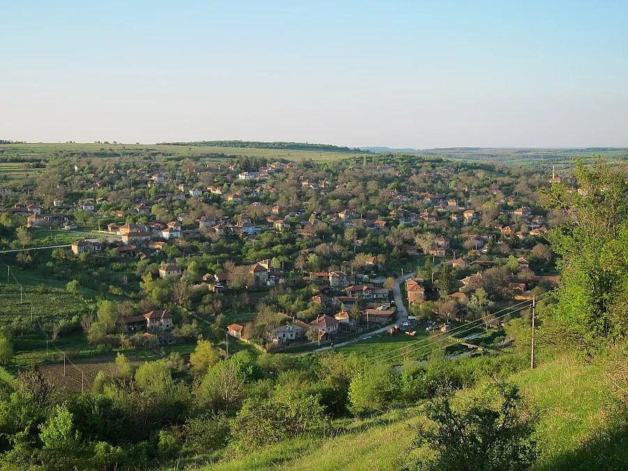 Англичанче се застреля в гърдите с газов пистолет 