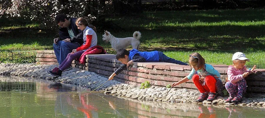 Октомврийско слънце през утрешния ден