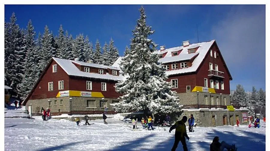 Падна първият сняг