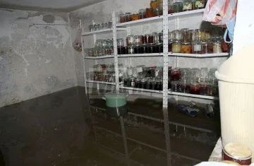 Търсят дом на 10 семейства в Белозем