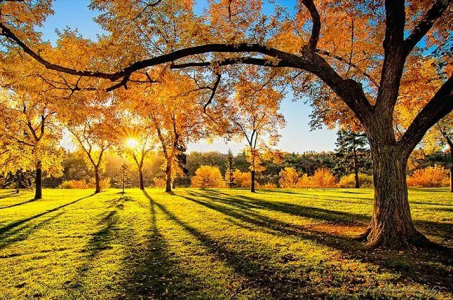 Циганското лято - след Димитровден