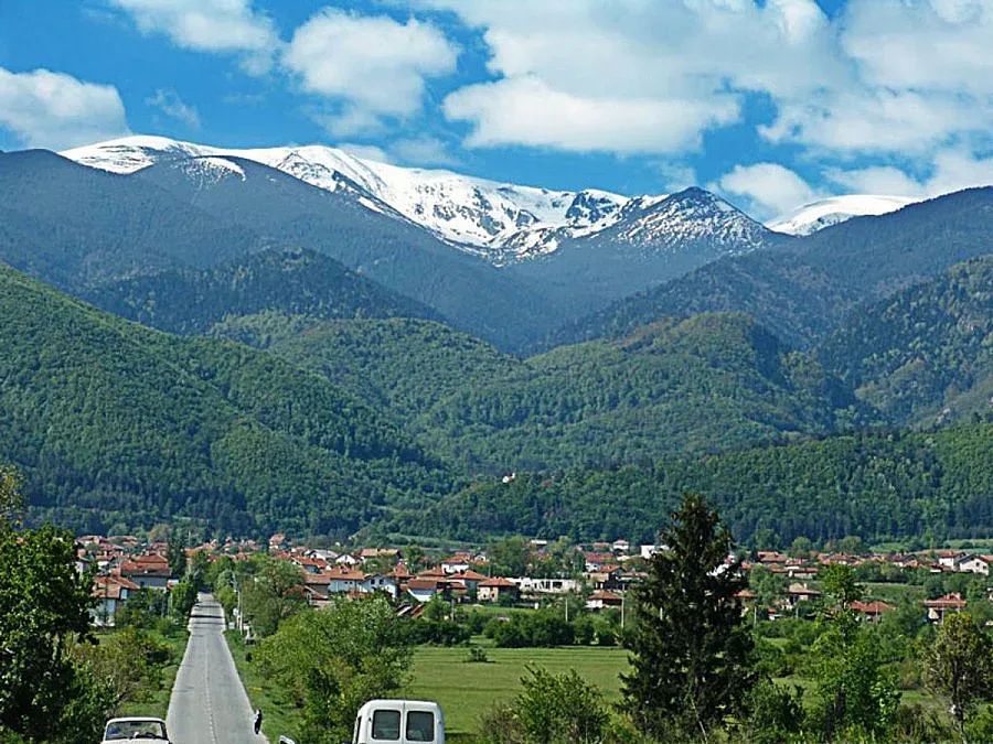 НП „Рила” с отчет по проект